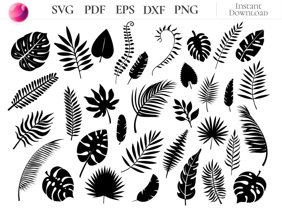 Tropical Leaves SVG Bundle, Monstera Palm Leaf Clipart, Jungle Foliage ...