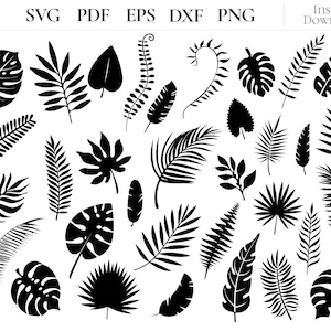 Monstera & Palm Leaf SVG Bundle: Tropical Jungle Clipart (Digital Download)