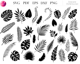 Pacchetto di file SVG con foglie tropicali, clipart di foglie di palma Monstera, file di taglio per fogliame e rami della giungla per Cricut e lavori fai da te.