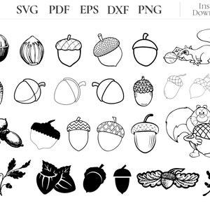 Gland SVG, Svg de gland, clipart gland, chêne Svg, clipart noix, Silhouette de gland, vecteur de gland, gland Png, écureuil Svg, fichiers coupés gland