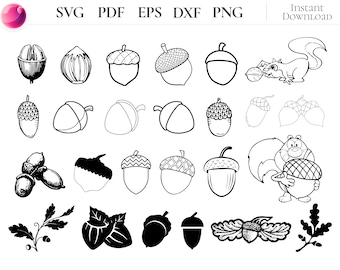 Pacchetto SVG di ghiande, clipart di scoiattolo e noce del bosco, file di taglio di quercia e ghianda per Cricut e lavori fai da te