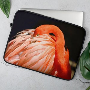 Op de afbeelding: Een roze flamingo met zijn kop onder zijn vleugel, tegen een zwarte achtergrond.