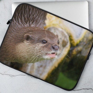 May include: A close-up of a brown otter with a wet nose and sharp teeth. The otter is looking directly at the camera with its mouth slightly open. The otter is in focus, while the background is blurred.
