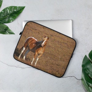 May include: A brown and white horse stands in a field of dry grass. The horse is looking at the camera with its head turned slightly to the side. The horse's mane is flowing in the wind.