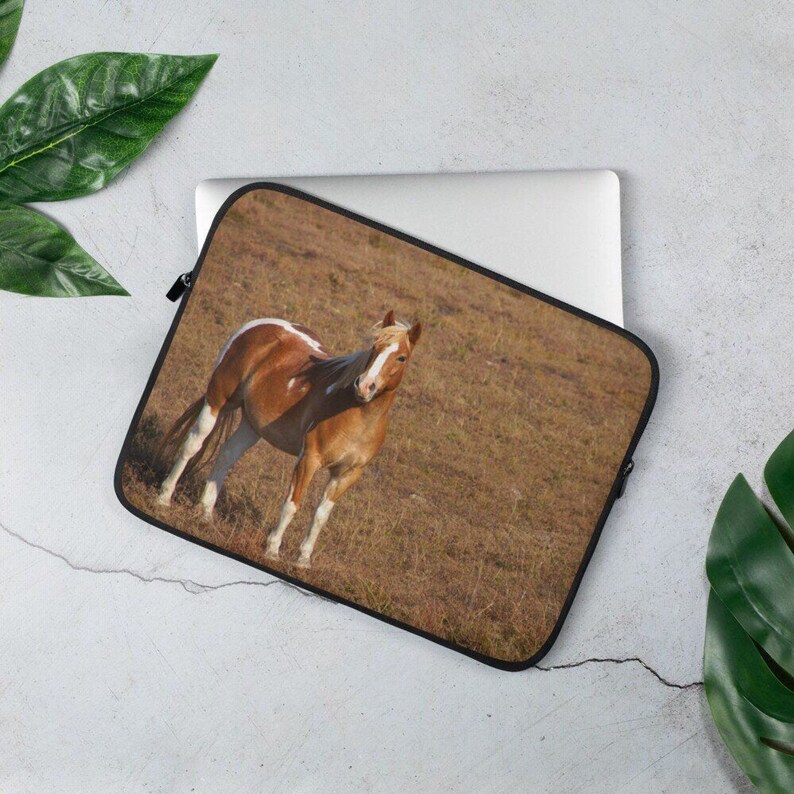 May include: A brown and white horse stands in a field of dry grass. The horse is looking at the camera with its head turned slightly to the side. The horse's mane is flowing in the wind.