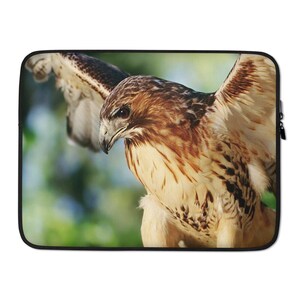 Op de afbeelding: Een close-up van een roodstaartbuizerd met zijn vleugels wijd gespreid, recht in de camera kijkend. De buizerd heeft bruine en witte veren met donkere markeringen. De achtergrond is een wazig groen en blauw.