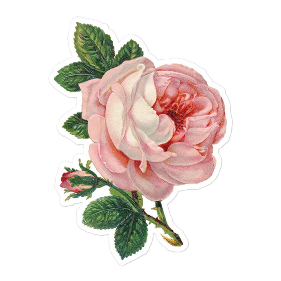 VINTAGE ROSE STICKER, Watercolor Pastel Vinyl Laptop Decal, Floral