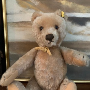 Vintage 1950s Steiff Original Teddy Bear Caramel Grey Mohair, 14 inches tall, with Steiff Button and ribbon tag, Germany