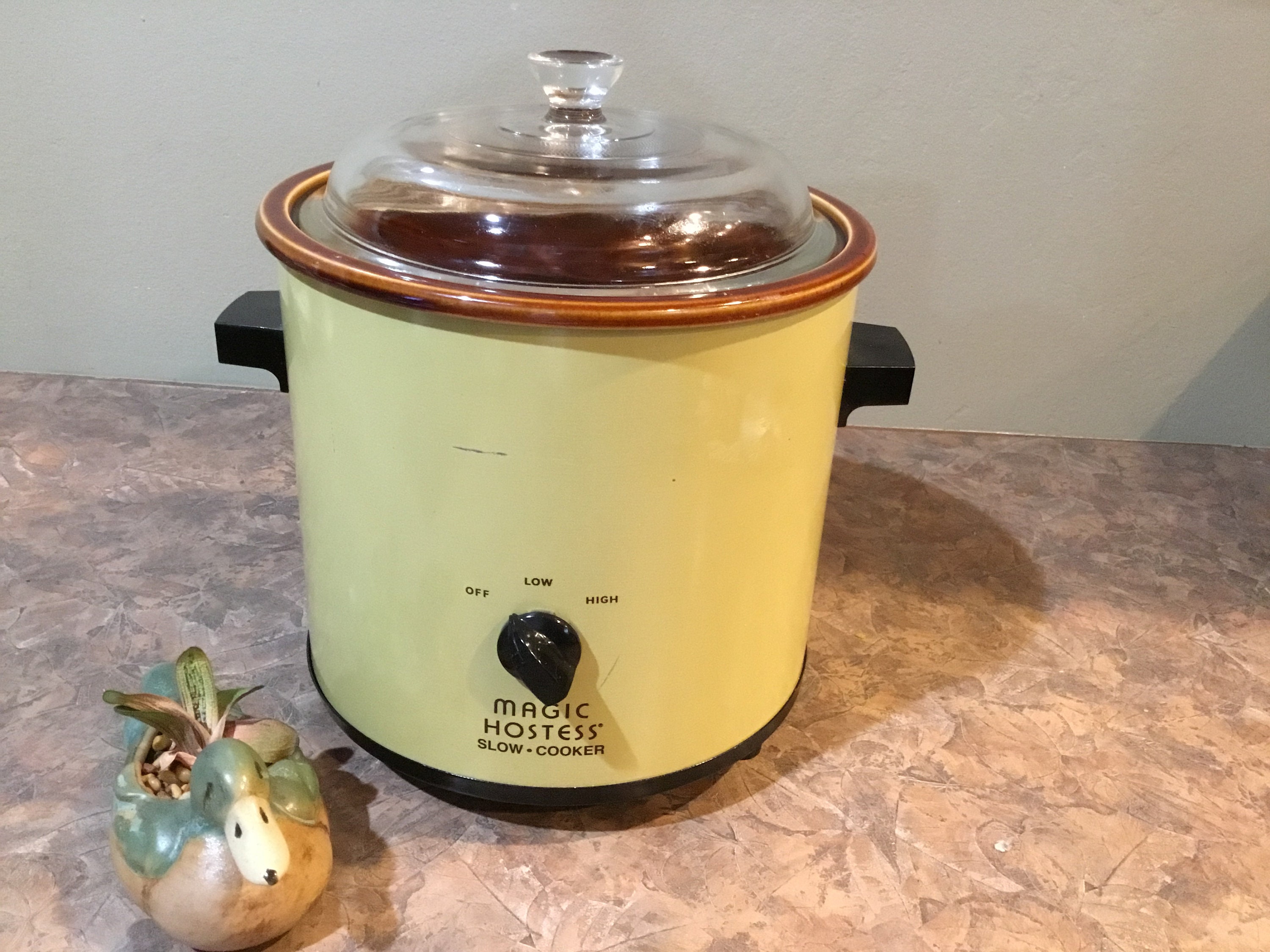 the magical slow cooker