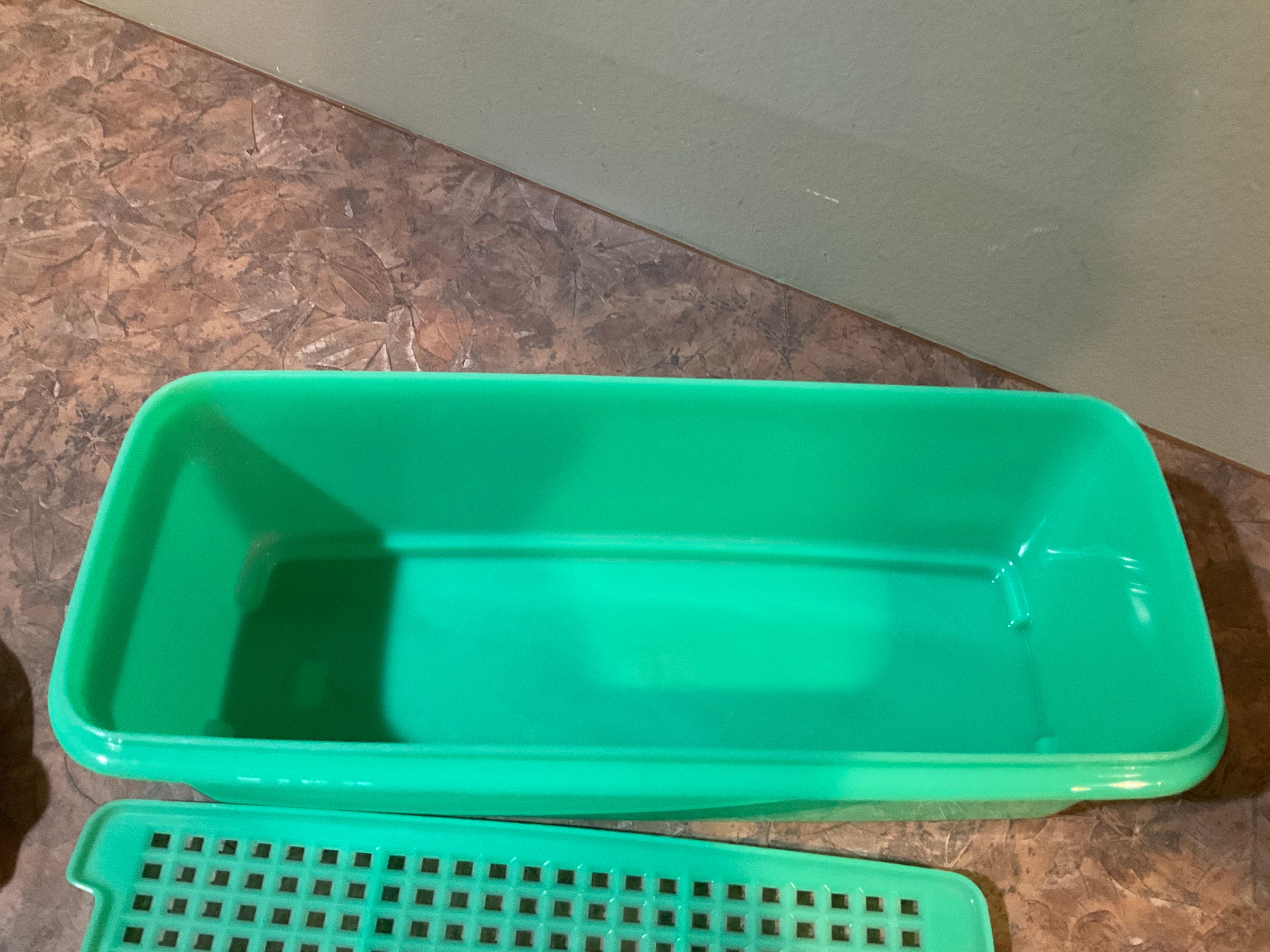 Tupperware Celery Keeper Jade Green Tupperware Celery Keeper Etsy