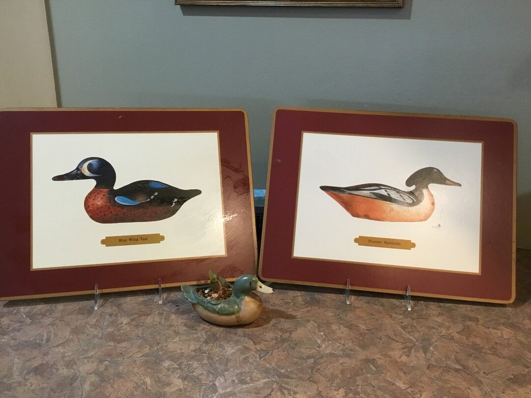 Pimpernel 2 Ducks Birds Dinner Placemats Cork Back Made in Etsy