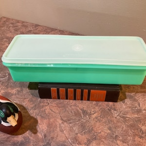 Puede incluir: Un recipiente de almacenamiento rectangular de plástico verde claro vintage con una tapa a juego. El recipiente está colocado encima de una pila de libros.