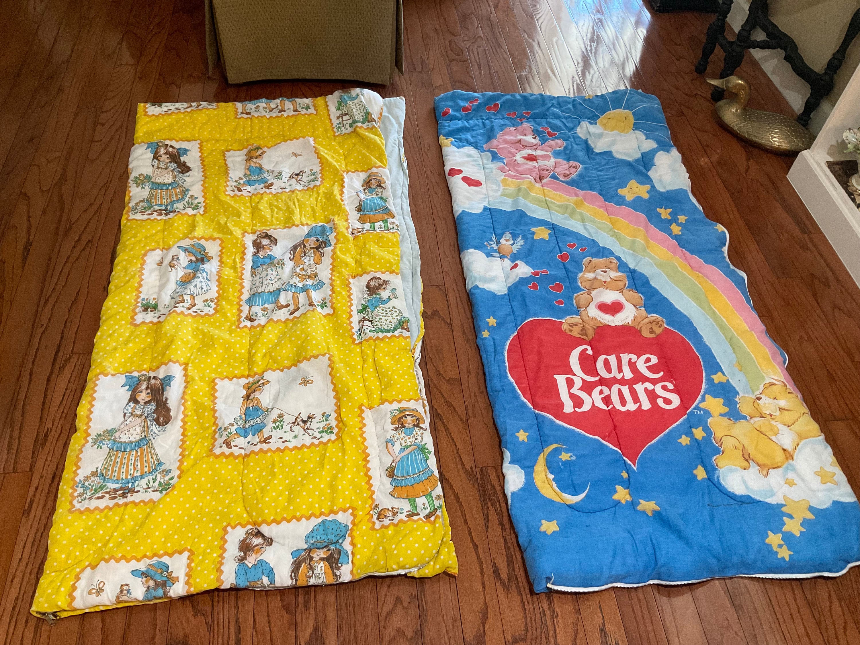 Vintage Care Bears Sleeping Bag - Etsy