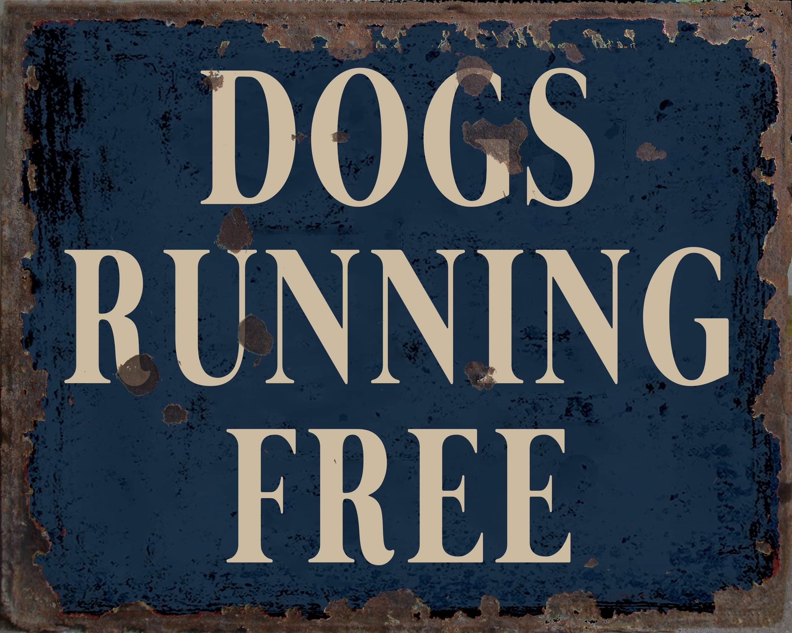 Hinweisschild 'Hunde Frei Laufend' – Selbstklebend, 150x100 Mm, Vinyl, Für Garten & Haus