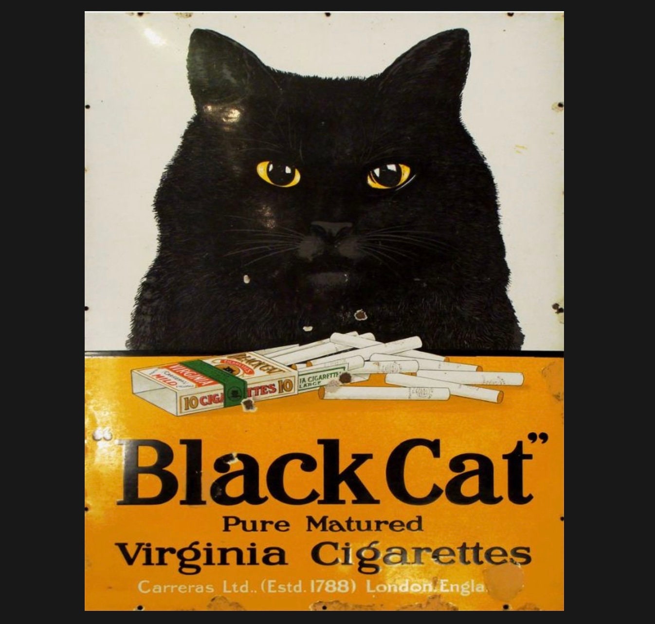 cat in smoking jacket