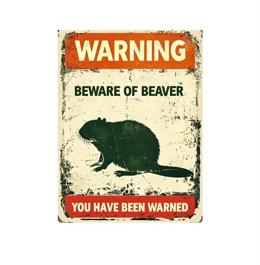 Beware of Beaver Metal Sign, Beaver Sign, Beaver Plaque - Etsy Canada