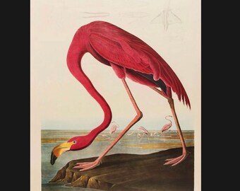 Vintage Flamingo Sign, Flamingo sign. Retro wall sign, wall art, retro wall art