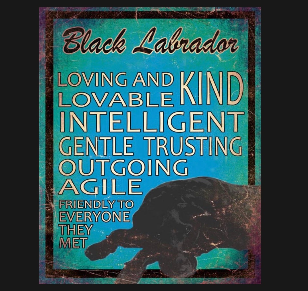 Black Labrador Metal Dog Sign Plaque Loyal Labrador Dog Etsy