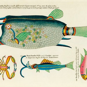 Vintage Fish Sign, Fish sign. Retro wall sign, wall art, retro wall art, Louis Reynard