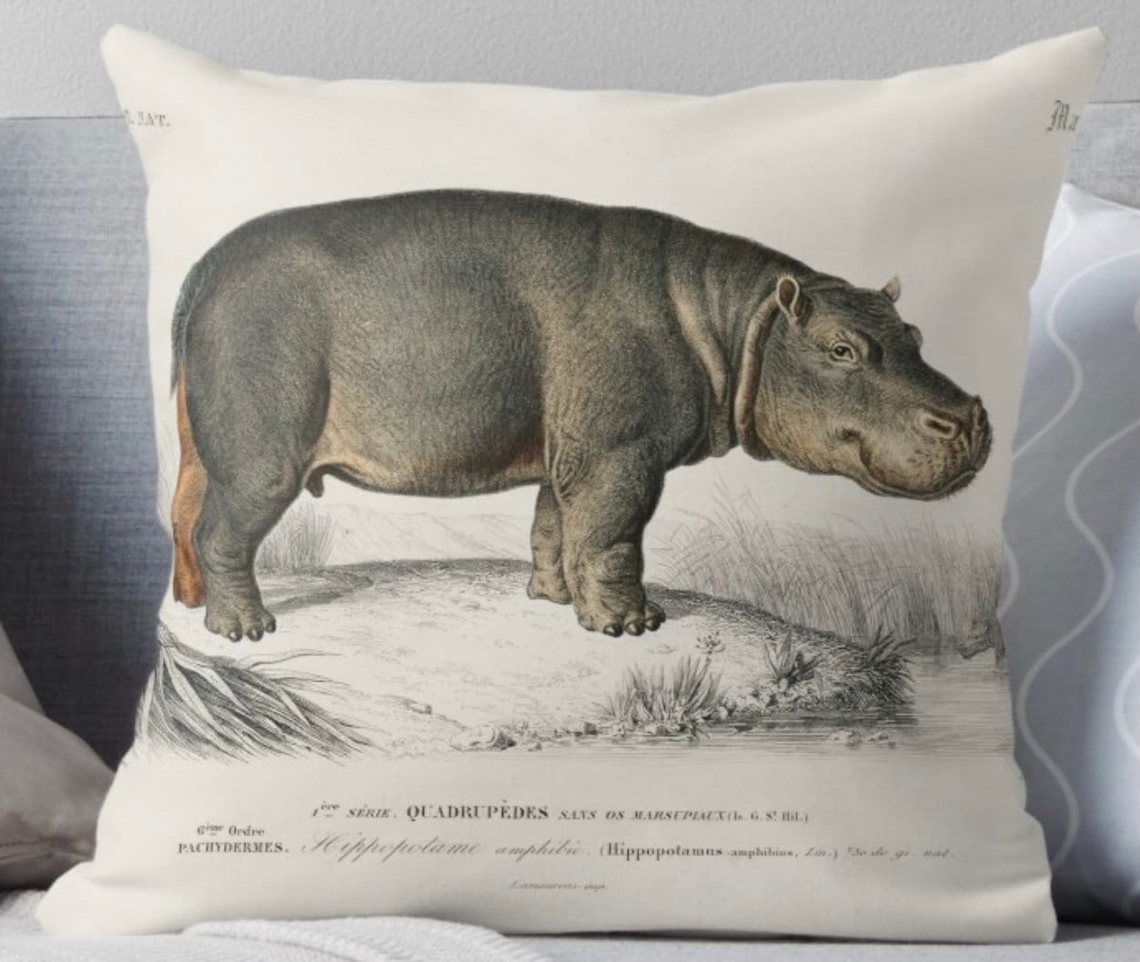 Quality Hippo Velvet Or Linen Cushion With Insert Hippo Etsy Australia