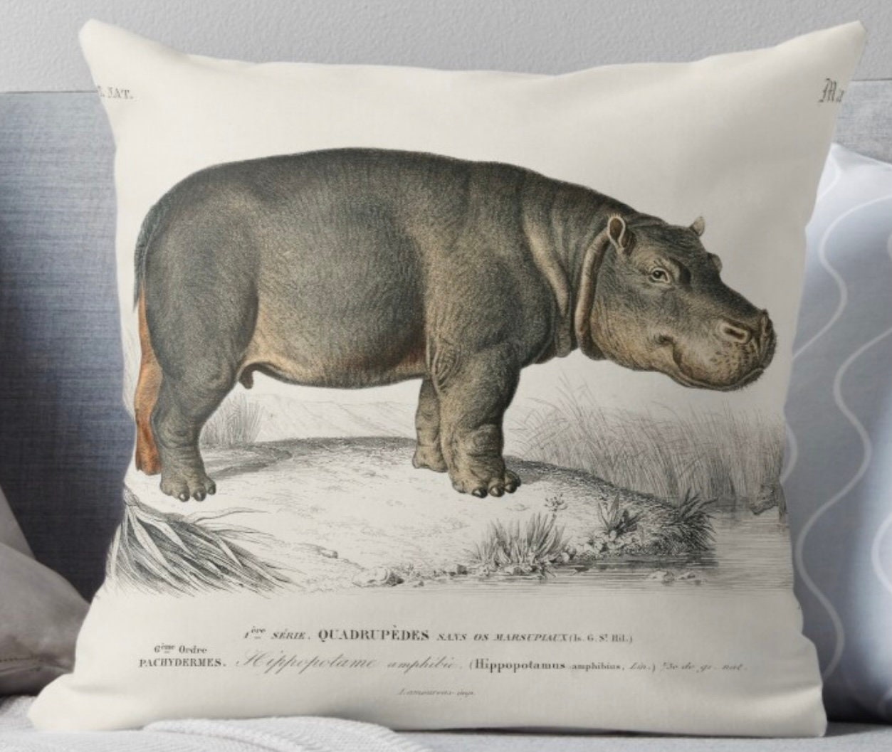 Quality Hippo Velvet or Linen Cushion With Insert Hippo Etsy Australia