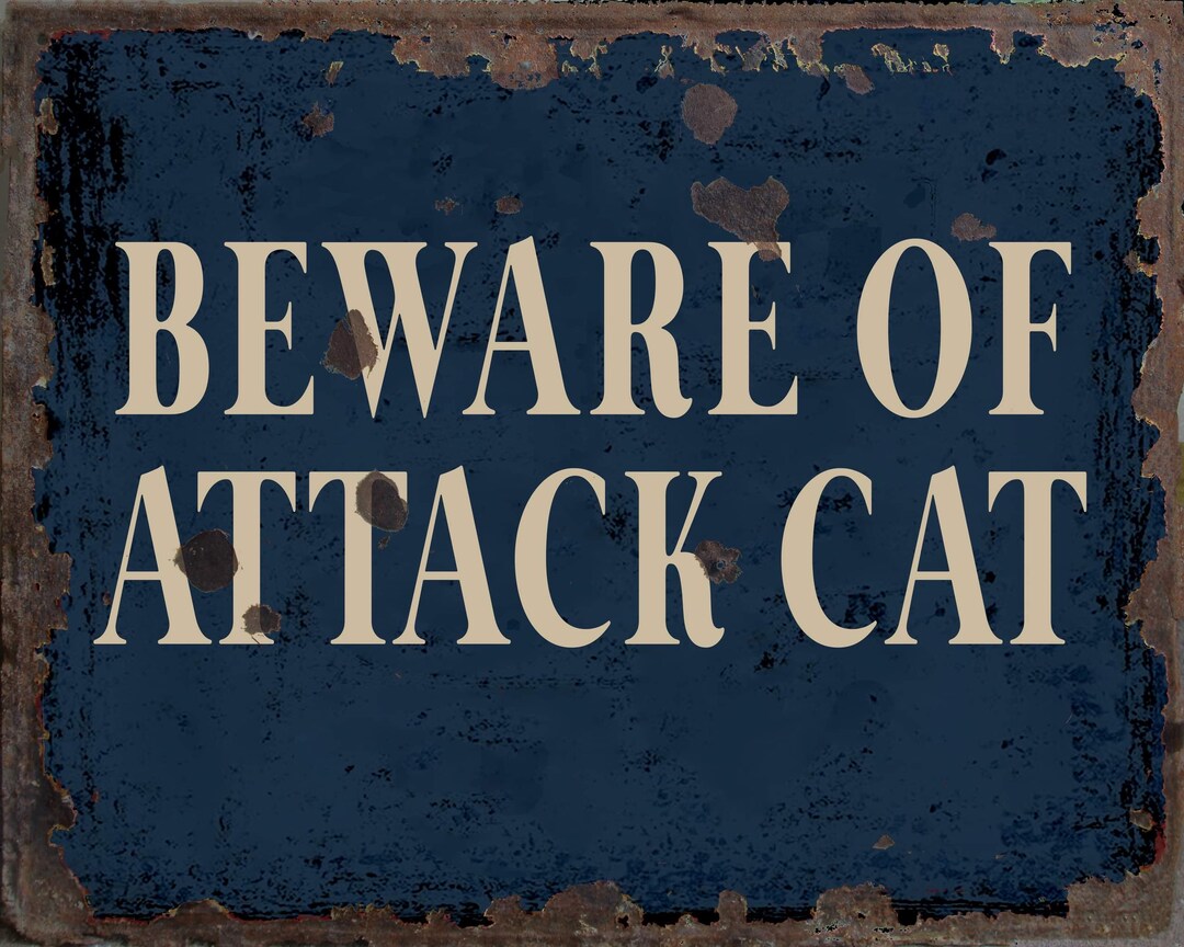 Vintage Beware of Attack Cat Metal Sign, Fitting Beware of Attack Cat ...