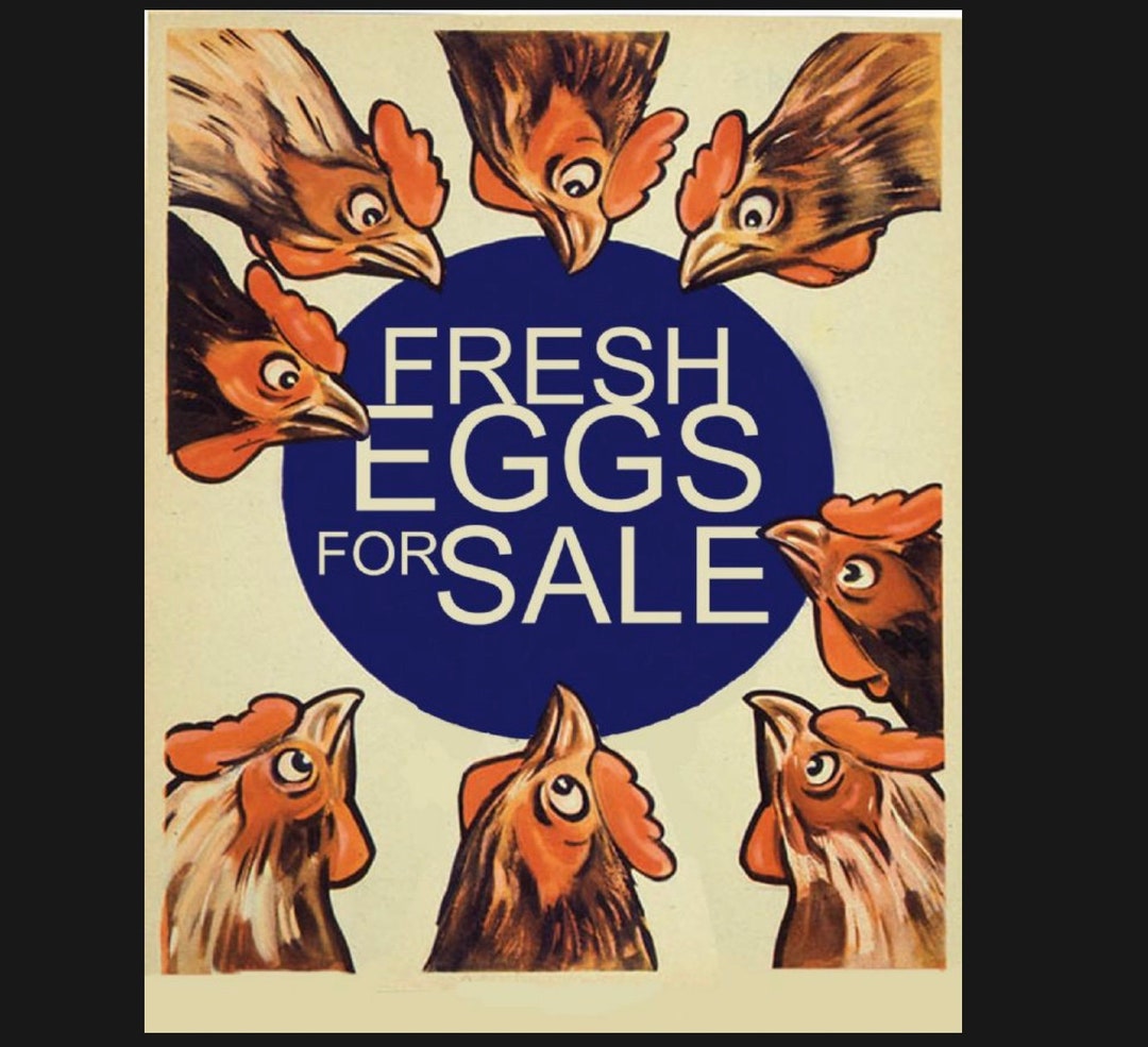 Fresh Eggs for Sale Sign Vintage Chicken Sign Sign. Retro Etsy UK