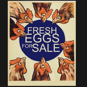 Signe d'oeufs frais à vendre, signe de signe de poulet vintage. Panneau mural rétro, art mural, art mural rétro