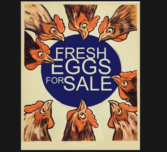 Fresh Eggs for Sale Sign Vintage Chicken Sign Sign. Retro Etsy