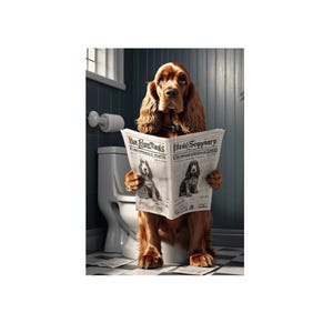 May include: A brown and white Cocker Spaniel dog sits on a white toilet seat in a bathroom, reading a newspaper titled "The Daily Septuary" and "Run Rover Run's" with a smaller image of a dog on each page.