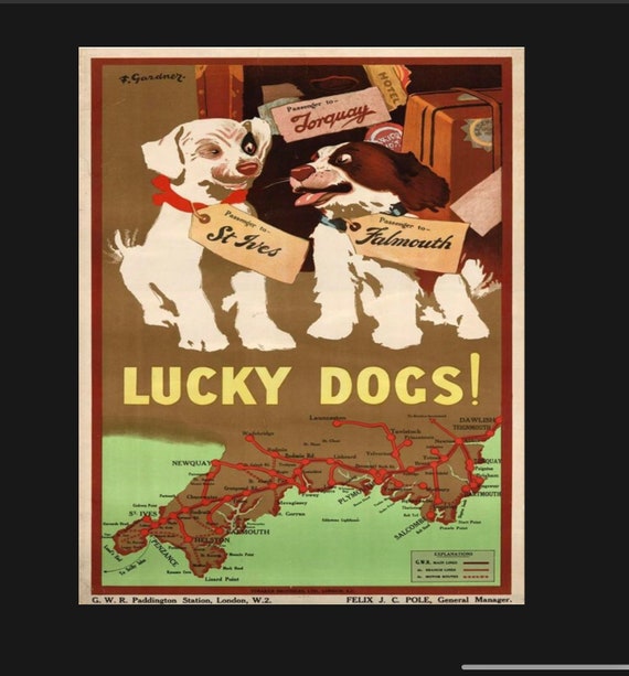 How Can I Take My Dog To Canada