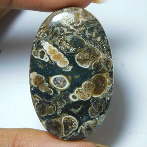 Natural Turritella Agate Cabochon Hand Polish Top Quality Turritella Fossil Gemstone Hand Made Loose Stone Semi Precious 35 Ct 35X22 mm#1238