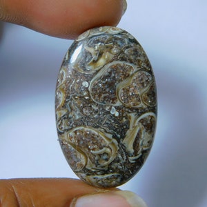 Natural Turritella Agate Cabochon Hand Polish Top Quality Turritella Fossil Gemstone Hand Made Loose Stone Semi Precious 35 Ct 35X22 mm#1238