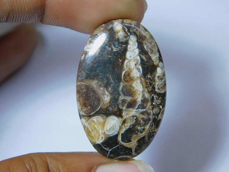 Natural Turritella Agate Cabochon Hand Polish Top Quality Turritella Fossil Gemstone Hand Made Loose Stone Semi Precious 35 Ct 35X22 mm#1238