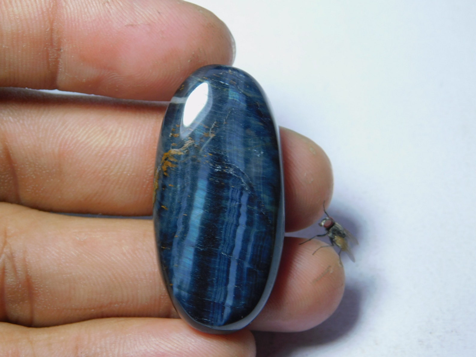 100 Natural Blue Tiger Eye Cabochon Top Quality Blue Tiger Etsy