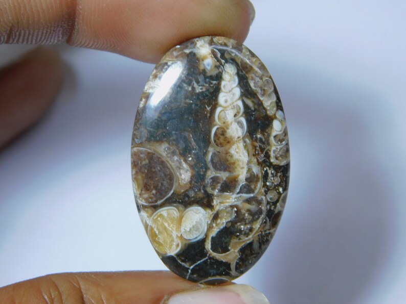 Natural Turritella Agate Cabochon Hand Polish Top Quality Turritella Fossil Gemstone Hand Made Loose Stone Semi Precious 35 Ct 35X22 mm#1238