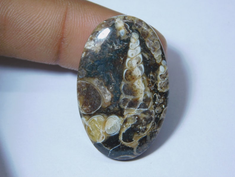 Natural Turritella Agate Cabochon Hand Polish Top Quality Turritella Fossil Gemstone Hand Made Loose Stone Semi Precious 35 Ct 35X22 mm#1238