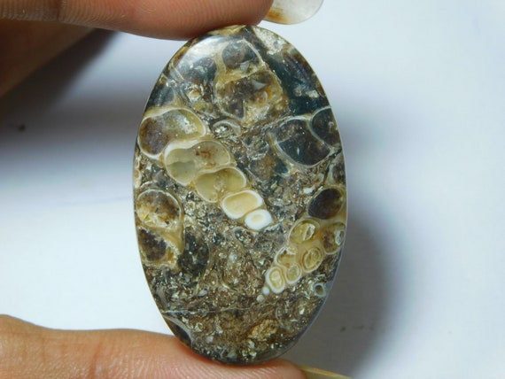 Natural Turritella Agate Cabochon Hand Polish Top Quality Turritella Fossil Gemstone Hand Made Loose Stone Semi Precious 35 Ct 35X22 mm#1238