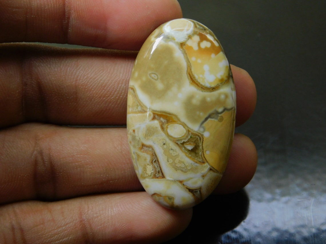 cobra jasper meaning