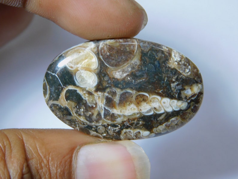 Natural Turritella Agate Cabochon Hand Polish Top Quality Turritella Fossil Gemstone Hand Made Loose Stone Semi Precious 35 Ct 35X22 mm#1238