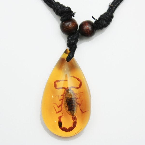 SCORPION amber necklace, scorpion, scary novelty, halloween, bug jewelry, creepy crawlers