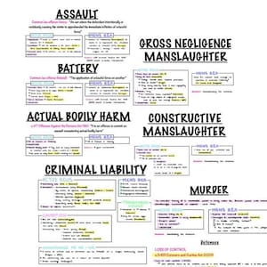 以下が含まれることがあります： 暴行、傷害、実際の人身傷害、重大な過失致死、過失致死、殺人、厳格責任など、さまざまな刑事責任の種類を概説したカラフルなチャート。このチャートには、定義、行為の構成要件、精神的構成要件、および防御が含まれています。