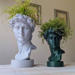 David Bust Planter Pot for Plants | Greek Heroic Male | David's Head | Michelangelo | Head Planter |