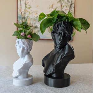 Sappho Bust Planter Pot for Plants | Greek Goddess | Sappho's Head | Head Planter |