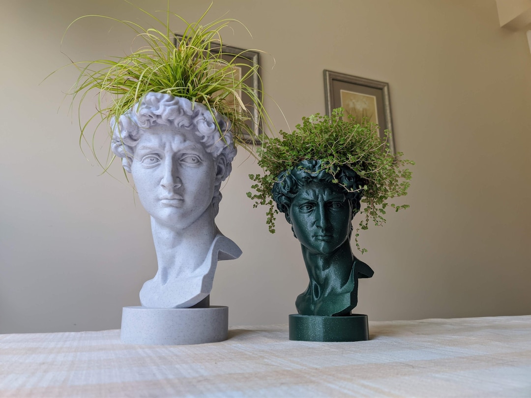 David Bust Planter Pot for Plants Greek Heroic Male David's Head