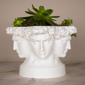 David Polyface Planter Pot for Plants | Greek Heroic Male | David&#39;s Head | Michelangelo | Head Planter | David Head Planter