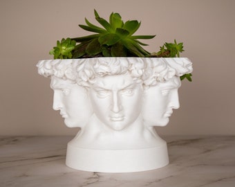 David Polyface Planter Pot for Plants | Greek Heroic Male | David's Head | Michelangelo | Head Planter | David Head Planter