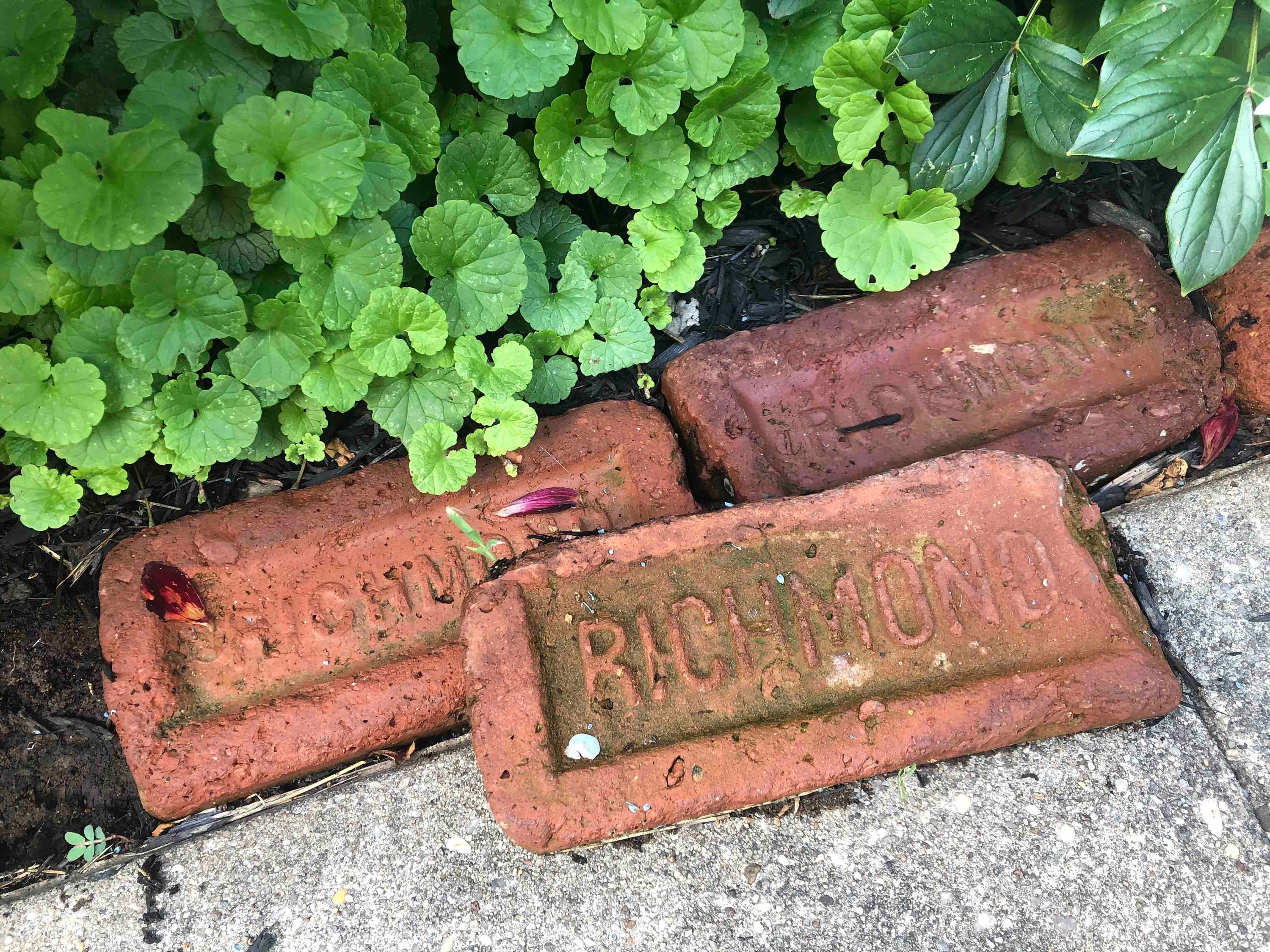 Vintage Firebricks mystery Box of 4 Randomly Selected Bricks for Garden,  Bookcase, Home Decor Rare Antique Fire Brick Decoration 