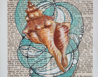 Shell in the Surf- Giclee Print