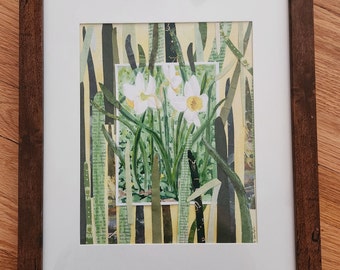 Daffodils in February